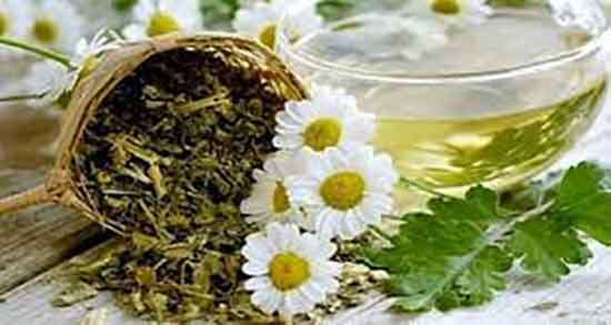 خواص دمنوش بابونه برای قاعدگی ؛ خواص بابونه برای عفونت زنان خواص دمنوش بابونه برای قاعدگی ؛ خواص بابونه برای عفونت زنان