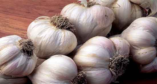 خواص دود پوست سیر و مصرف سوزاندن پوست سیر با اسپند دودکن خواص دود پوست سیر ؛ مصرف سوزاندن پوست سیر با اسپند دودکن