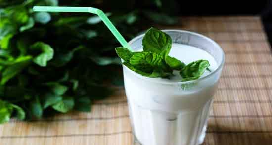 خواص دوغ و پونه و خاصیت دارویی استفاده از پونه روی دوغ خواص دوغ و پونه ؛ خاصیت دارویی استفاده از پونه روی دوغ