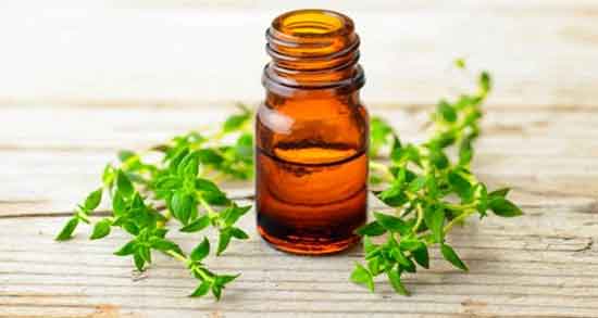 خواص روغن آویشن ؛ برای پوست صورت و ریزش مو و طرز تهیه روغن آویشن در منزل خواص روغن آویشن ؛ برای پوست صورت و ریزش مو و طرز تهیه روغن آویشن در منزل