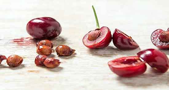 خواص روغن هسته آلبالو برای لک ؛ روغن هسته آلبالو برای لک دور چشم خواص روغن هسته آلبالو برای لک ؛ روغن هسته آلبالو برای لک دور چشم