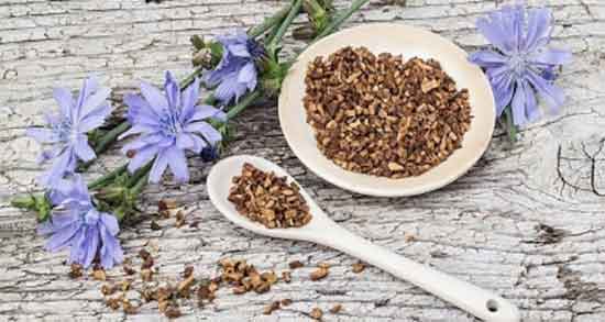 خواص ریشه کاسنی برای مو ؛ کاسنی ترمیم کننده موی سر اسیب دیده خواص ریشه کاسنی برای مو ؛ کاسنی ترمیم کننده موی سر اسیب دیده