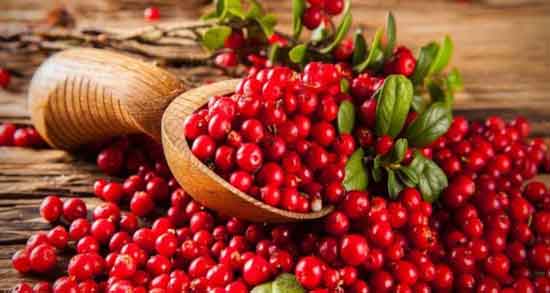 خواص زالزالک برای اسپرم و افزایش و تقویت اسپرم با خوردن زالزالک خواص زالزالک برای اسپرم ؛ افزایش و تقویت اسپرم با خوردن زالزالک