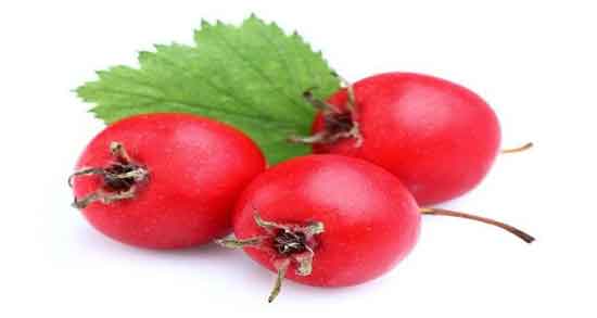 خواص زالزالک برای لاغری ؛ چربی سوزی و کاهش وزن با خوردن زالزالک خواص زالزالک برای لاغری ؛ چربی سوزی و کاهش وزن با خوردن زالزالک