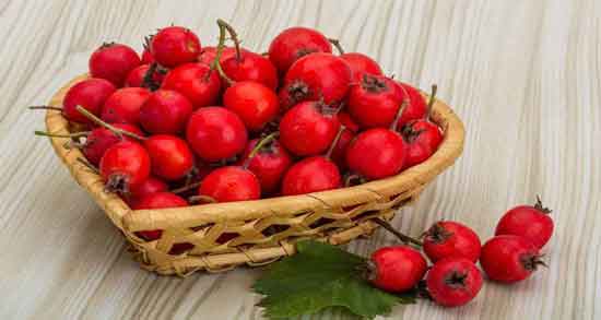 خواص زالزالک برای کلیه و خاصیت درمانی مصرف زالزالک برای بیماری های کلیه خواص زالزالک برای کلیه ؛ خاصیت درمانی مصرف زالزالک برای بیماری های کلیه