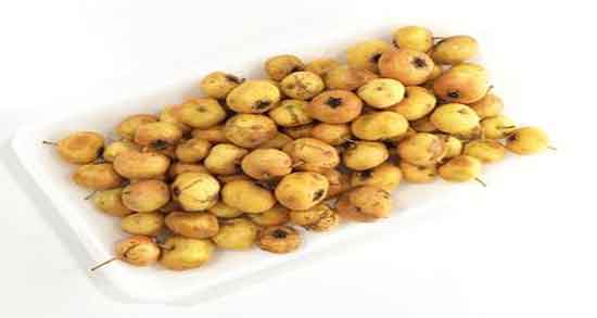 خواص زالزالک در دوران بارداری و همه چیز درباره خواص خوردن زالزالک برای زن باردار خواص زالزالک در دوران بارداری ؛ همه چیز درباره خواص خوردن زالزالک برای زن باردار