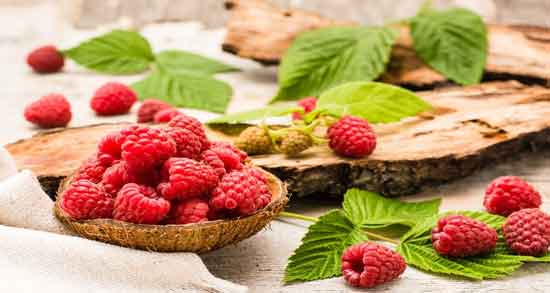 خواص ساقه تمشک و آشنایی با خواص درمانی ساقه تمشک خواص ساقه تمشک ؛ آشنایی با خواص درمانی ساقه تمشک