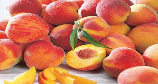 خواص شفتالو برای لاغری و کاهش اشتها و کمک به لاغری با خوردن شفتالو خواص شفتالو برای لاغری ؛ کاهش اشتها و کمک به لاغری با خوردن شفتالو