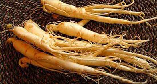 خواص شقاقل برای مردان و ایا شقاقل برای تقویت اسپرم مردان مفیده خواص شقاقل برای مردان ؛ ایا شقاقل برای تقویت اسپرم مردان مفیده