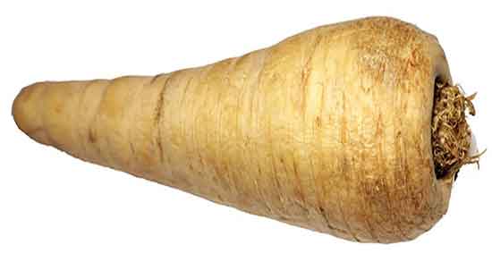 خواص شقاقل جنگلی ؛ فواید مصرف شقاقل جنگلی برای درمان نازایی خواص شقاقل جنگلی ؛ فواید مصرف شقاقل جنگلی برای درمان نازایی