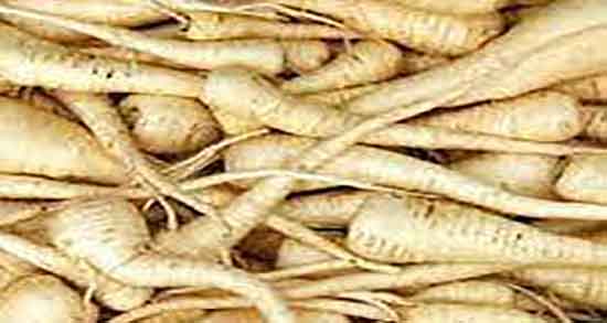 خواص شقاقل در طب اسلامی و ایا شقاقل از نظر طب اسلامی حلاله خواص شقاقل در طب اسلامی ؛ ایا شقاقل از نظر طب اسلامی حلاله