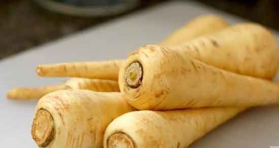 خواص شقاقل در طب سنتی و فواید مصرف شقاقل از نظر طب سنتی خواص شقاقل در طب سنتی ؛ فواید مصرف شقاقل از نظر طب سنتی