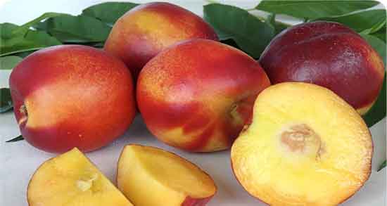 خواص شلیل برای سرماخوردگی ؛ ویتامین C موجود در شلیل مفید برای درمان سرماخوردگی خواص شلیل برای سرماخوردگی ؛ ویتامین C موجود در شلیل مفید برای درمان سرماخوردگی