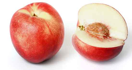 خواص شلیل در طب سنتی و بررسی خاصیت درمانی شلیل از دیدگاه طب سنتی خواص شلیل در طب سنتی ؛ بررسی خاصیت درمانی شلیل از دیدگاه طب سنتی