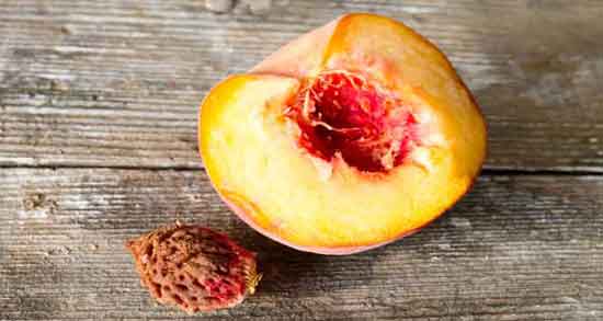 خواص شلیل و لاغری ؛ خواص خوردن شلیل برای جلوگیری از پرخوری خواص شلیل و لاغری ؛ خواص خوردن شلیل برای جلوگیری از پرخوری