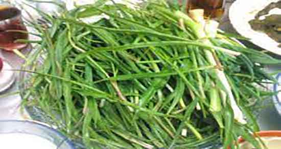 خواص شنگ در طب سنتی و خوردن شنگ از نظر طب سنتی چیست خواص شنگ در طب سنتی ؛ خوردن شنگ از نظر طب سنتی چیست