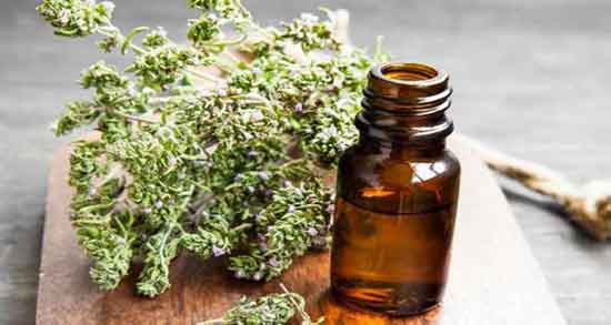 خواص عرق آویشن برای سرماخوردگی ؛ مصرف عرق آویشن برای عفونت گلو خواص عرق آویشن برای سرماخوردگی ؛ مصرف عرق آویشن برای عفونت گلو