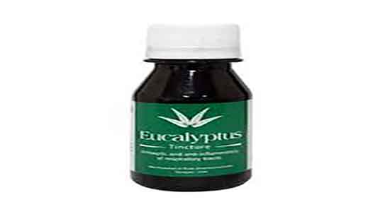 خواص عرق اکالیپتوس و مصرف عرق اکالیپتوس برای بدن سرد است یا گرم خواص عرق اکالیپتوس ؛ مصرف عرق اکالیپتوس برای بدن سرد است یا گرم