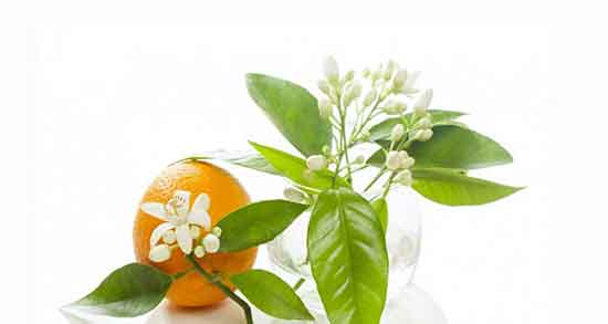 خواص عرق بهار نارنج برای قاعدگی و خاصیت عرق بهار نارنج برای خونریزی خواص عرق بهار نارنج برای قاعدگی ؛ خاصیت عرق بهار نارنج برای خونریزی