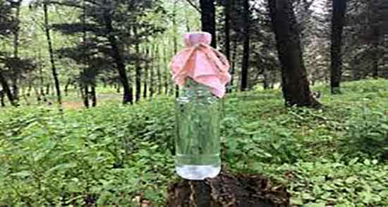 خواص عرق بهار نارنج و فرنجمشک و عرق بهار نارنج و فرنجمشک برای قلب خواص عرق بهار نارنج و فرنجمشک ؛ عرق بهار نارنج و فرنجمشک برای قلب