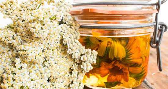 خواص عرق بومادران برای پولیپ رحم و عرق بومادران برای درمان پولیپ رحم خواص عرق بومادران برای پولیپ رحم ؛ عرق بومادران برای درمان پولیپ رحم