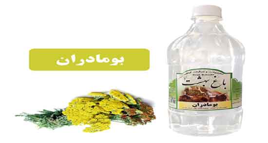 خواص عرق بومادران و بابونه ؛ فواید عرق بومادران و بابونه برای نفخ شکم خواص عرق بومادران و بابونه ؛ فواید عرق بومادران و بابونه برای نفخ شکم