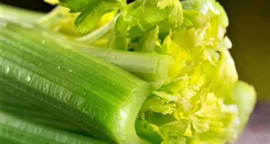 خواص عرق کرفس برای کبد چرب ؛ درمان چربی کبد با خوردن عرق کرفس خواص عرق کرفس برای کبد چرب ؛ درمان چربی کبد با خوردن کرفس