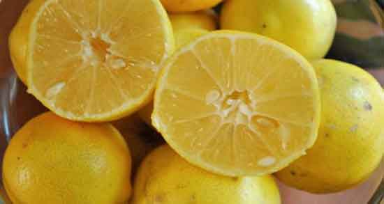 خواص لیمو شیرین در شیردهی و تاثیر خوردن لیمو شیرین برای شیر مادر خواص لیمو شیرین در شیردهی ؛ تاثیر خوردن لیمو شیرین برای شیر مادر