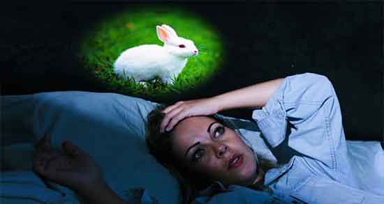 خواص مغز خرگوش ؛ خواص خوردن مغز خرگوش برای درمان ناشنوایی خواص مغز خرگوش ؛ خواص خوردن مغز خرگوش برای درمان ناشنوایی