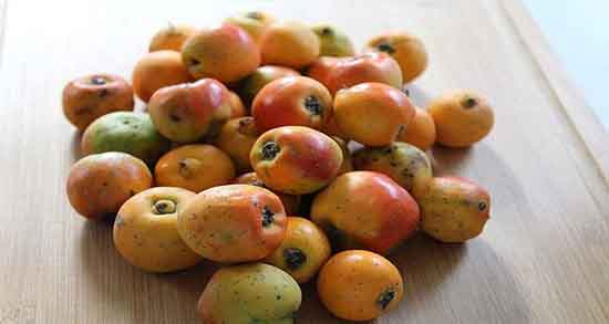 خواص میوه زالزالک در بارداری ؛ ارزش غذایی زالزالک برای دوران بارداری خواص میوه زالزالک در بارداری ؛ ارزش غذایی زالزالک برای دوران بارداری