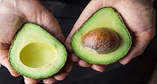 خواص هسته آووکادو در طب سنتی ؛ هسته آووکادو از نظر طب سنتی خواص هسته آووکادو در طب سنتی ؛ هسته آووکادو از نظر طب سنتی