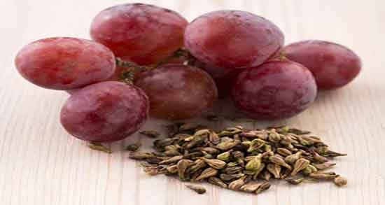 خواص هسته انگور سیاه ؛ خاصیت مصرف هسته انگور سیاه چیست خواص هسته انگور سیاه ؛ خاصیت مصرف هسته انگور سیاه چیست