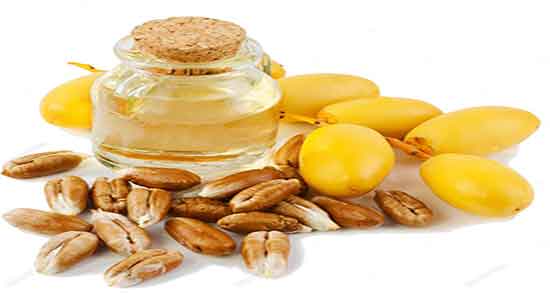 خواص هسته خرما برای دام و فواید مصرف ضایعات خرما برای تغذیه دام خواص هسته خرما برای دام ؛ فواید مصرف ضایعات خرما برای تغذیه دام