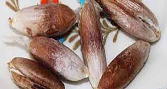 خواص هسته خرما برای قلب ؛ فواید هسته خرما برای رگهای قلب خواص هسته خرما برای قلب ؛ فواید هسته خرما برای رگهای قلب