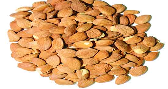 خواص هسته زردآلو برای کودکان ؛ فواید خوردن هسته زردآلو توسط کودک خواص هسته زردآلو برای کودکان ؛ فواید خوردن هسته زردآلو توسط کودک