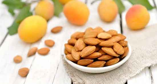 خواص هسته زردآلو در بارداری ؛ فواید هسته زردالو برای زنان باردار خواص هسته زردآلو در بارداری ؛ فواید هسته زردالو برای زنان باردار