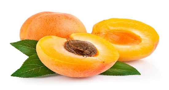 خواص هسته زردآلو در طب اسلامی ؛ فواید هسته زردالو در اسلام خواص هسته زردآلو در طب اسلامی ؛ فواید هسته زردالو در اسلام