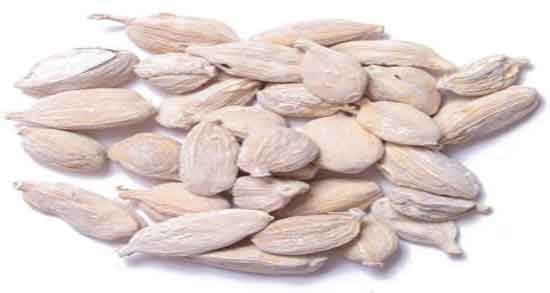 خواص هل برای کلیه ؛ خاصیت مصرف روزانه دمنوش هل برای سنگ کلیه خواص هل برای کلیه ؛ خاصیت مصرف روزانه دمنوش هل برای سنگ کلیه