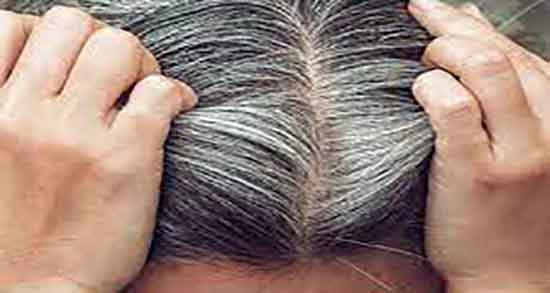 خواص هلیله سیاه برای سفیدی مو و روغن هلیله سیاه برای سفیدی مو خواص هلیله سیاه برای سفیدی مو ؛ روغن هلیله سیاه برای سفیدی مو