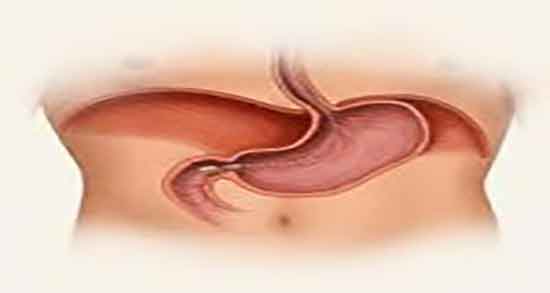 خواص هلیله سیاه برای معده و فواید هلیله سیاه برای اسید معده خواص هلیله سیاه برای معده ؛ فواید هلیله سیاه برای اسید معده