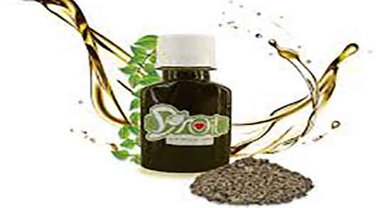 خواص هلیله سیاه و روش مصرف و مصرف هلیله سیاه برای سفیدی مو خواص هلیله سیاه و روش مصرف ؛ مصرف هلیله سیاه برای سفیدی مو