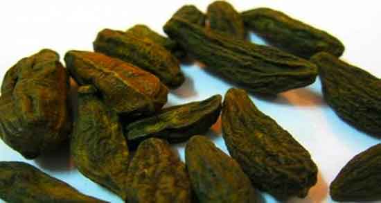 خواص هلیله سیاه و سیاه دانه و فواید هلیله سیاه با سیاه دانه چیست خواص هلیله سیاه و سیاه دانه ؛ فواید هلیله سیاه با سیاه دانه چیست