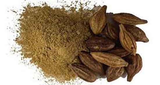 خواص هلیله سیاه و مصطکی و فواید هلیله سیاه مصطکی شکر سرخ خواص هلیله سیاه و مصطکی ؛ فواید هلیله سیاه مصطکی شکر سرخ