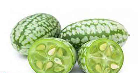 خواص هندوانه ابوجهل برای پوست ؛ فواید هندوانه ابوجهل برای پوست بدن خواص هندوانه ابوجهل برای یبوست ؛ هندوانه ابوجهل برای یبوست کودکان