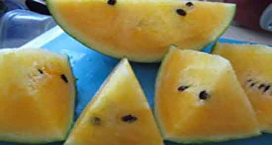 خواص هندوانه زرد در طب سنتی ؛ مصرف هندوانه زرد از نظر طب سنتی خواص هندوانه زرد در طب سنتی ؛ مصرف هندوانه زرد از نظر طب سنتی