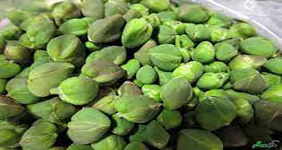 خواص هندوانه کوهی برای لاغری و خوردن هندوانه کوهی برای چربی سوزی خواص هندوانه کوهی برای لاغری ؛ خوردن هندوانه کوهی برای چربی سوزی