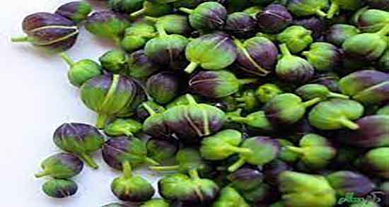 خواص هندوانه کوهی در طب سنتی ؛ هندوانه کوهی از نظر طب سنتی خواص هندوانه کوهی در طب سنتی ؛ هندوانه کوهی از نظر طب سنتی