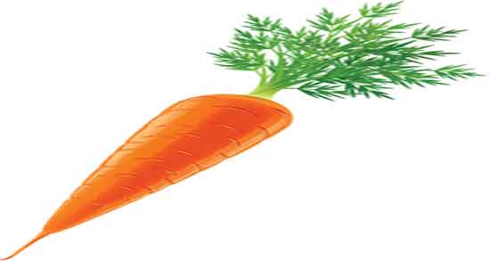 خواص هویج برای پوست و فواید روغن هویج برای پوست صورت چیست خواص هویج برای پوست ؛ فواید روغن هویج برای پوست صورت چیست