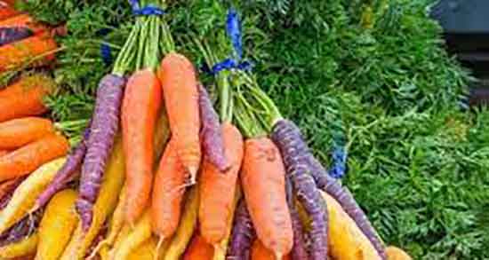 خواص هویج خام برای کودکان و خواص آب سیب و هویج برای اطفال خواص هویج خام برای کودکان ؛ خواص آب سیب و هویج برای اطفال