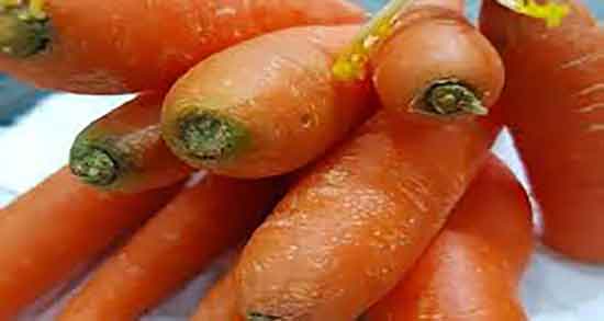 خواص هویج در بارداری و فواید مصرف اب هویج برای زنان باردار چیست خواص هویج در بارداری ؛ فواید مصرف اب هویج برای زنان باردار چیست